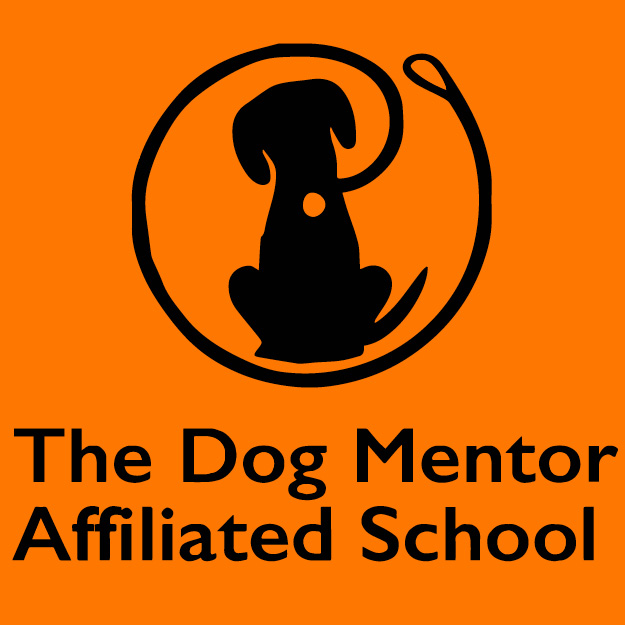 Dog Mentor